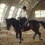 A Guide to Dressage Arena