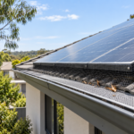 How to Protect a Roof from Birds and Leaves